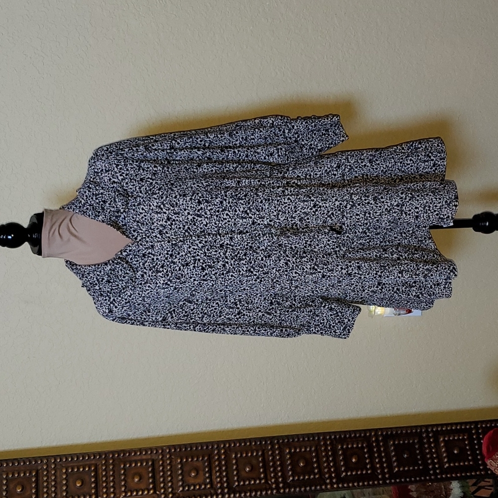 Zara French dress